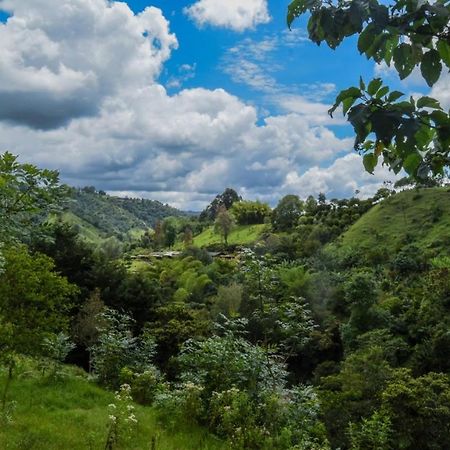 Hostal Rural La Montana Alquiyapura Salento Zewnętrze zdjęcie