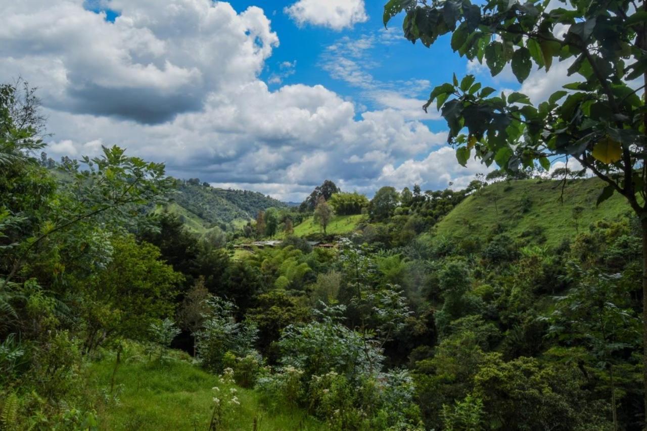 Hostal Rural La Montana Alquiyapura Salento Zewnętrze zdjęcie
